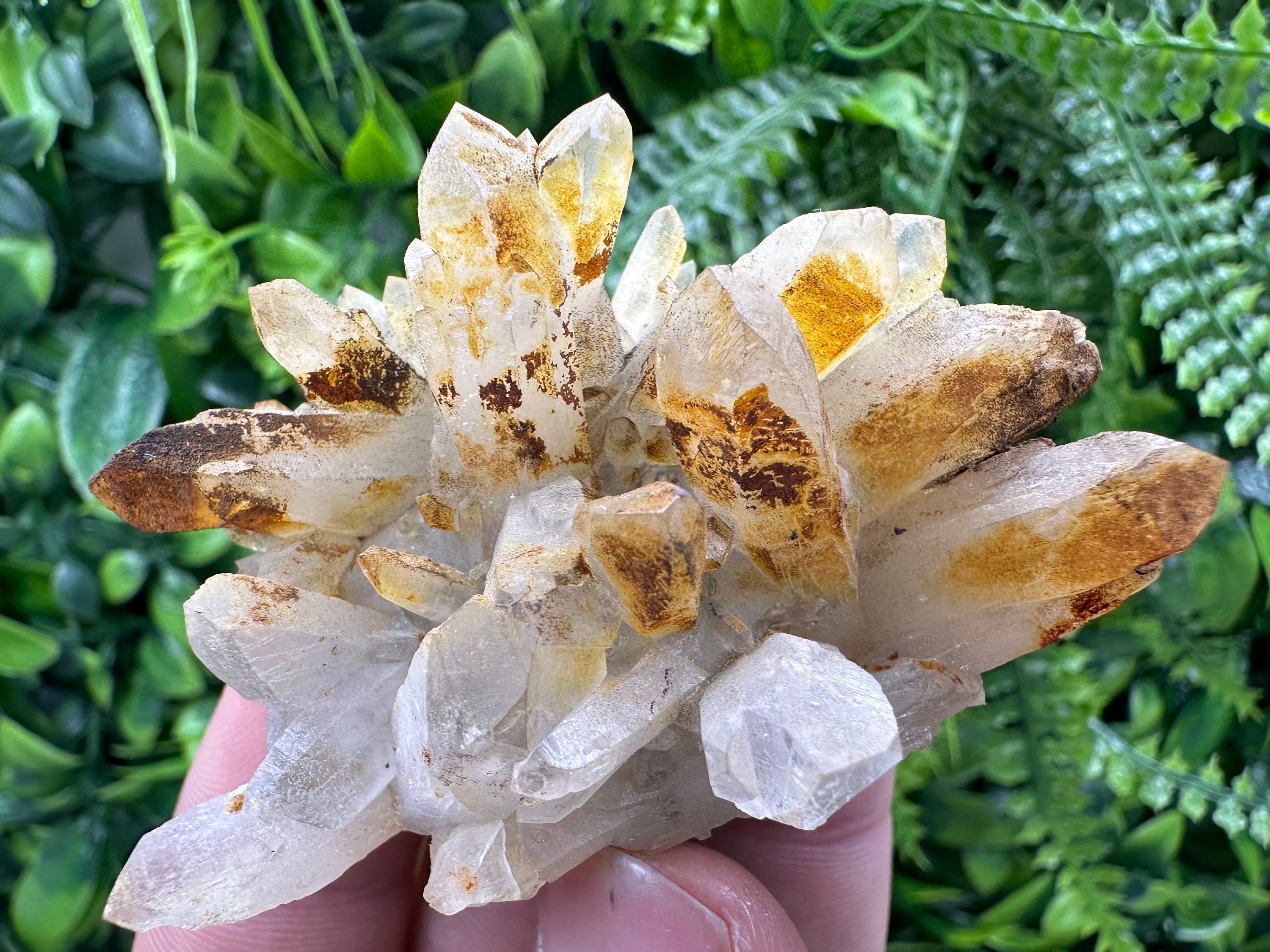 Limonite Coated Quartz Crystal - Natural Mineral Specimen