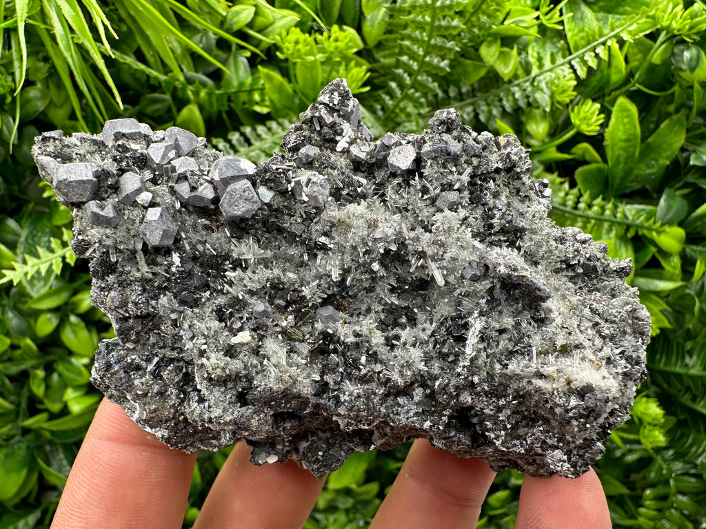 Sphalerite Pyrite on Quartz, Bulgaria Mineral Specimen (10/7/3.5 cm)