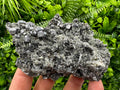 Sphalerite Pyrite on Quartz, Bulgaria Mineral Specimen (10/7/3.5 cm)
