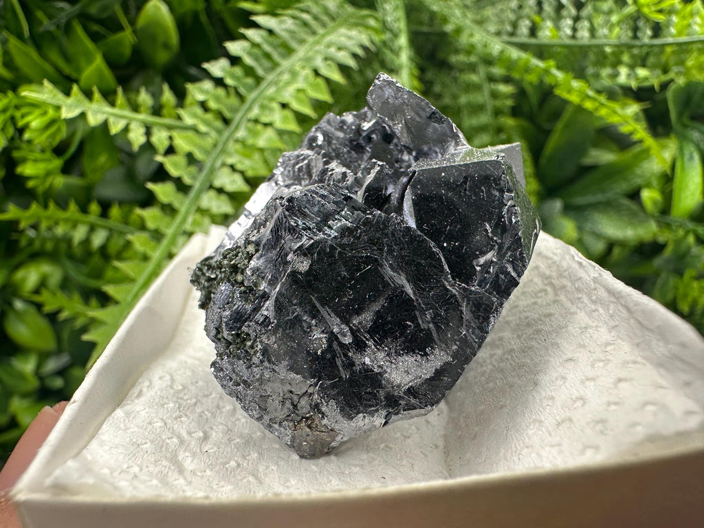 Shiny Galena Cluster: Borieva Mine, Madan, Bulgaria