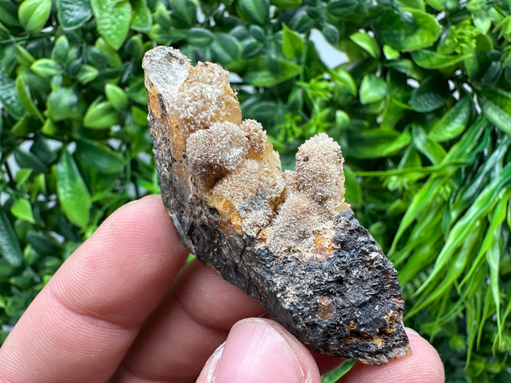 Rare Green/Yellow Pyromorphite & Hematite on Quartz - Madjarovo Mine, Bulgaria