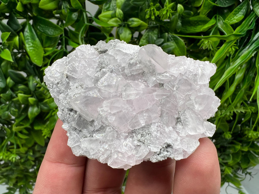 UV Reactive Mangano Calcite Crystal: Androvo Mine, Bulgaria