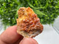 Red Vanadinite on Barite, Morocco Crystal Cluster
