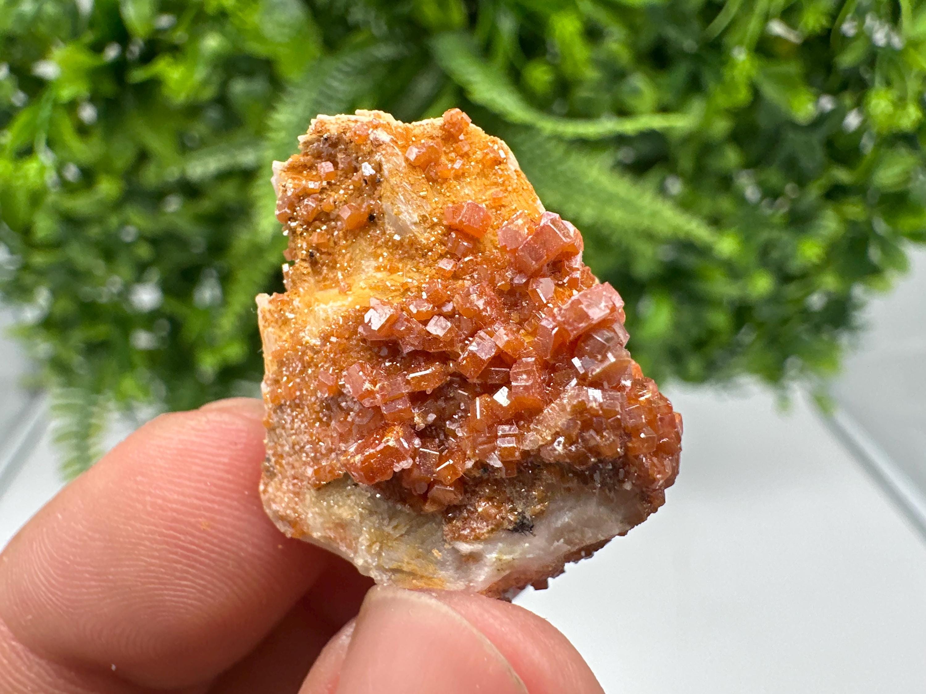 Red Vanadinite on Barite, Morocco Crystal Cluster