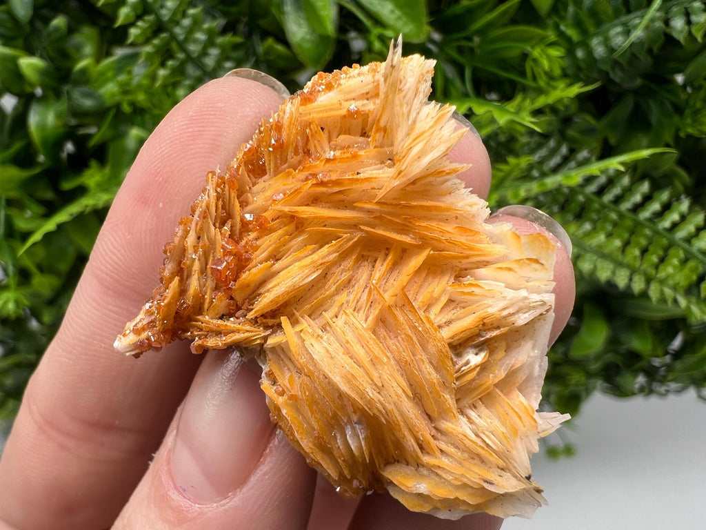 Red Vanadinite on Barite from Marocco,crystal minerals Speciment cluster Vanadinite crystal Vanadinite Geology Vanadinite cluster minerals