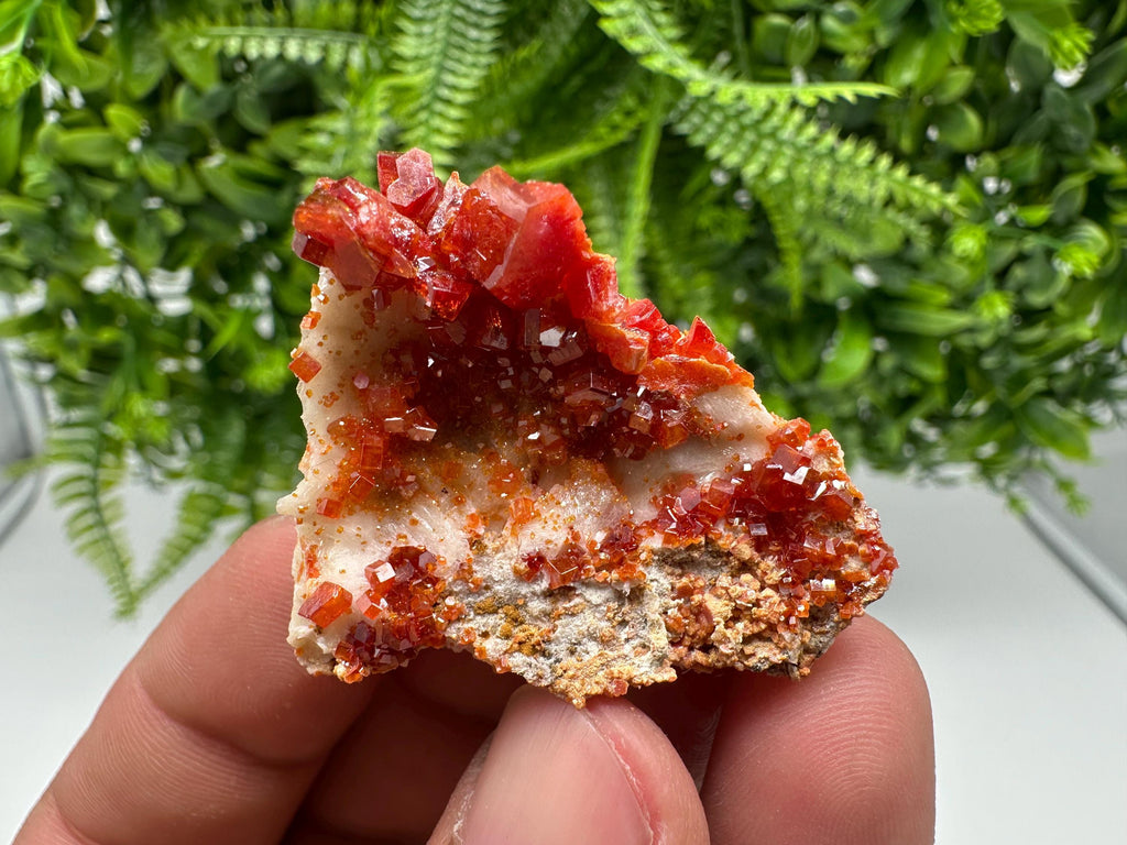 Red Vanadinite on Barite, Morocco Crystal Cluster