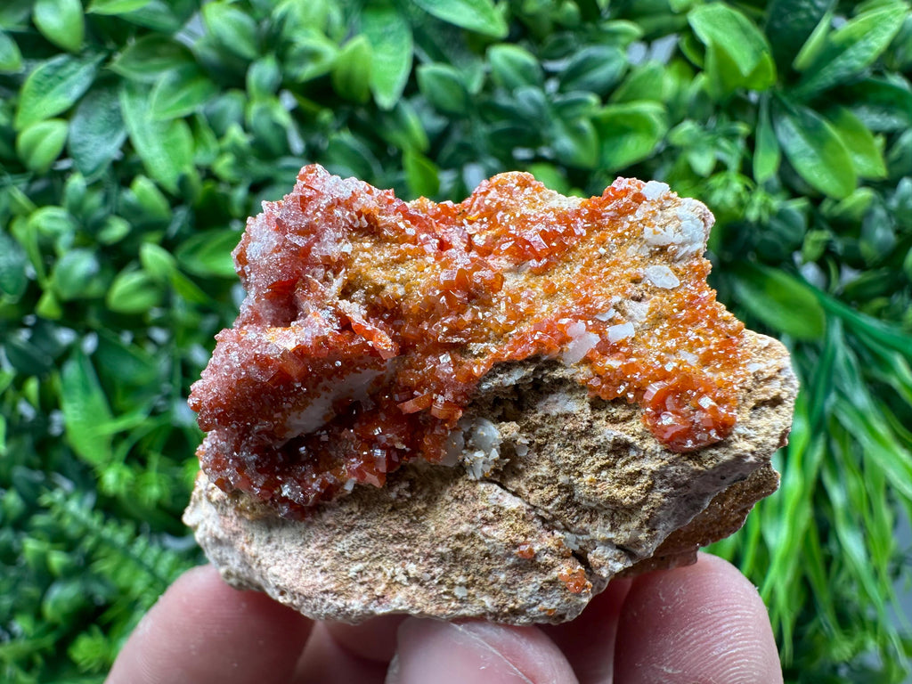 Red Vanadinite Crystal Cluster on Matrix, Morocco Mineral Specimen