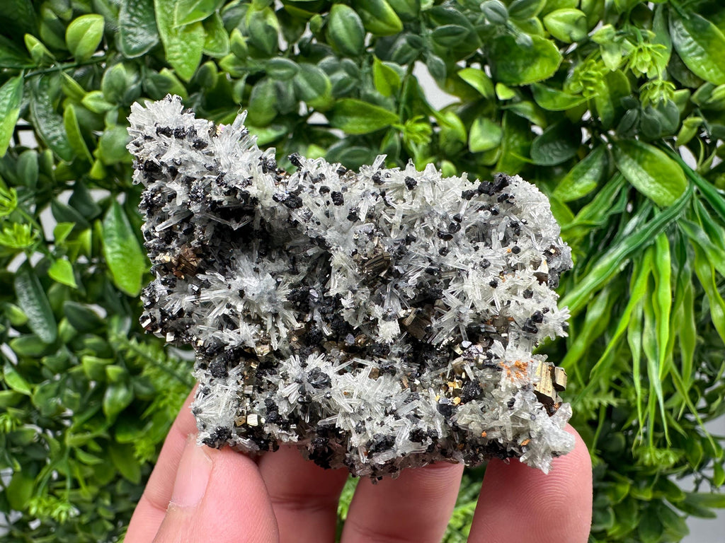 Pyrite on Needle Quartz, Madan Bulgaria, Mineral Specimen