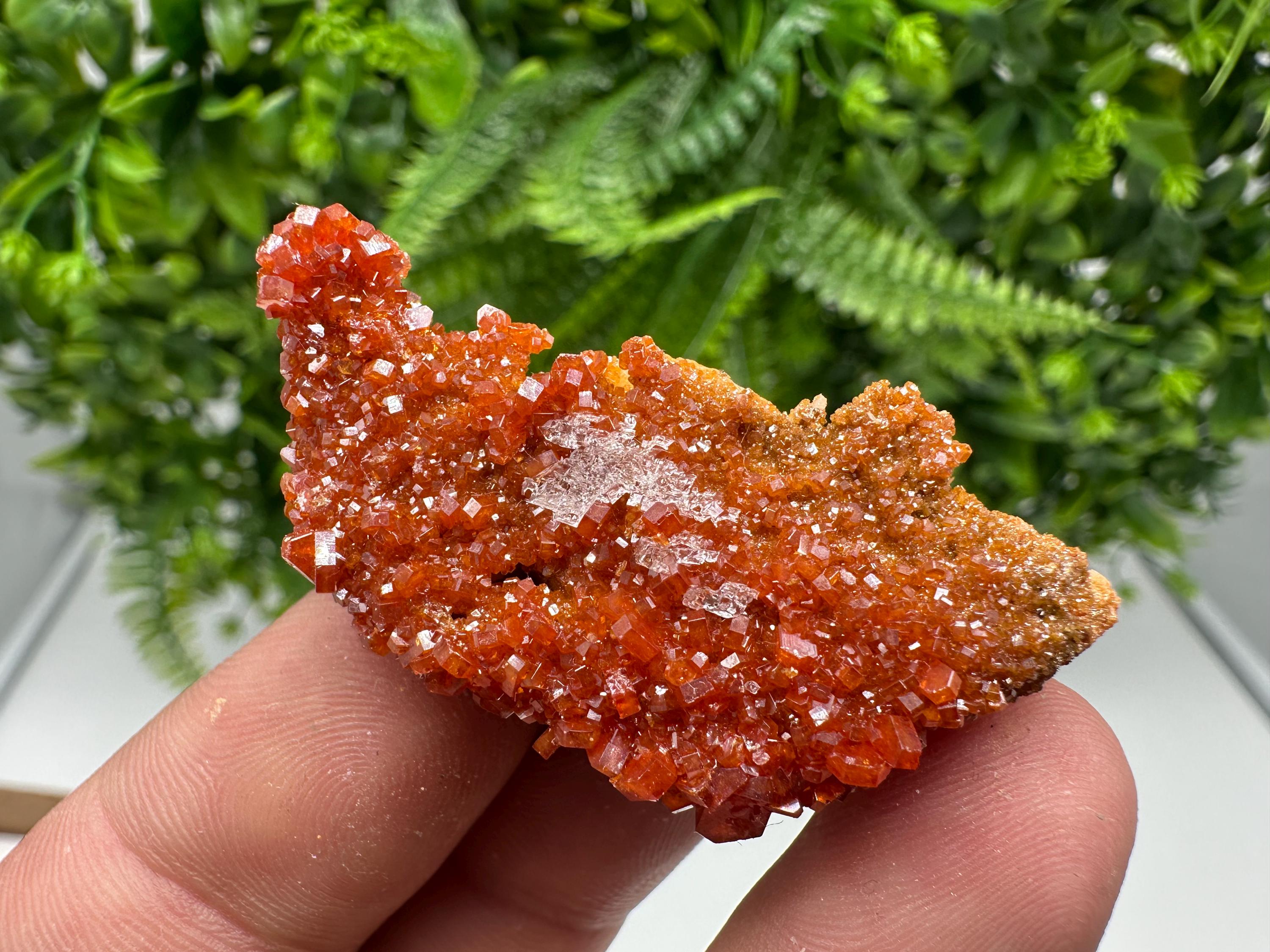 Red Vanadinite on Barite from Marocco,crystal minerals Speciment cluster Vanadinite crystal Vanadinite Geology Vanadinite cluster minerals