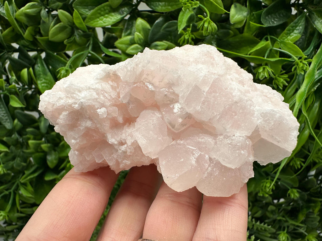 Mangano Calcite with Galena, Borieva Mine, Bulgaria