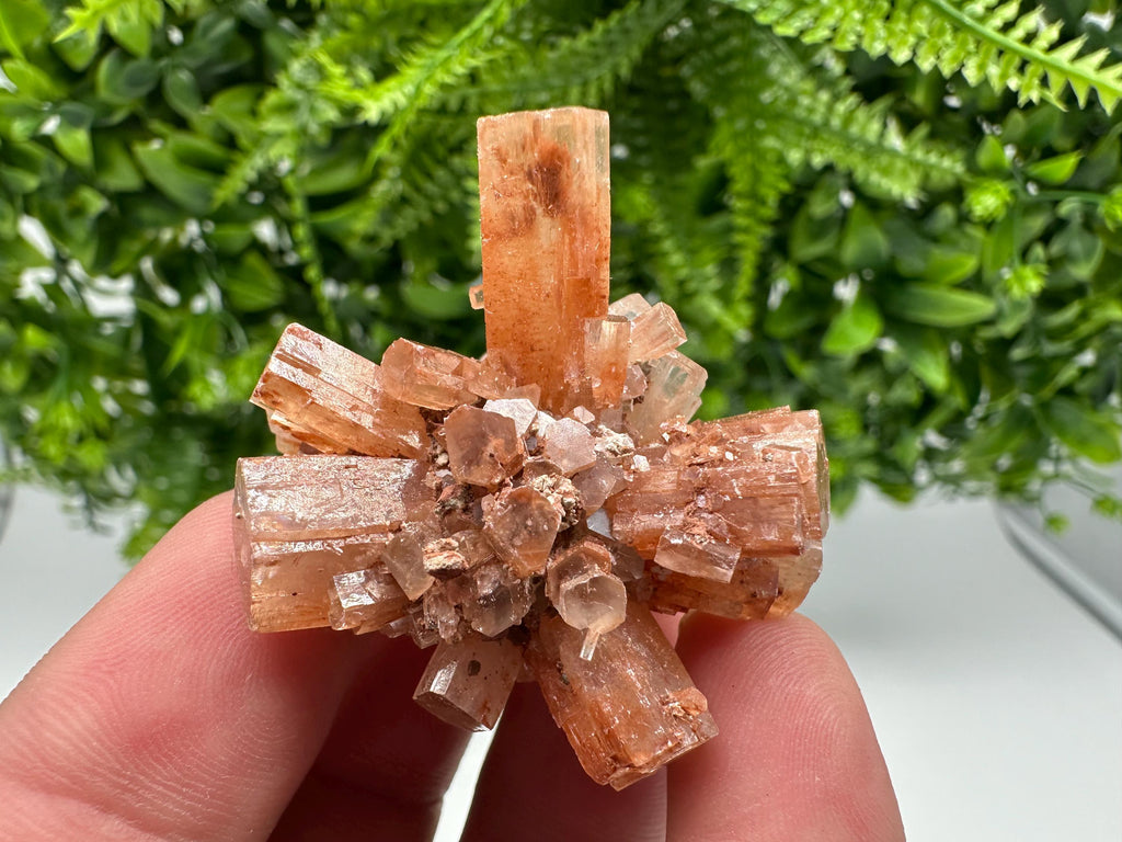 Moroccan Aragonite Sputnik Crystal Cluster: Raw Stone Decor