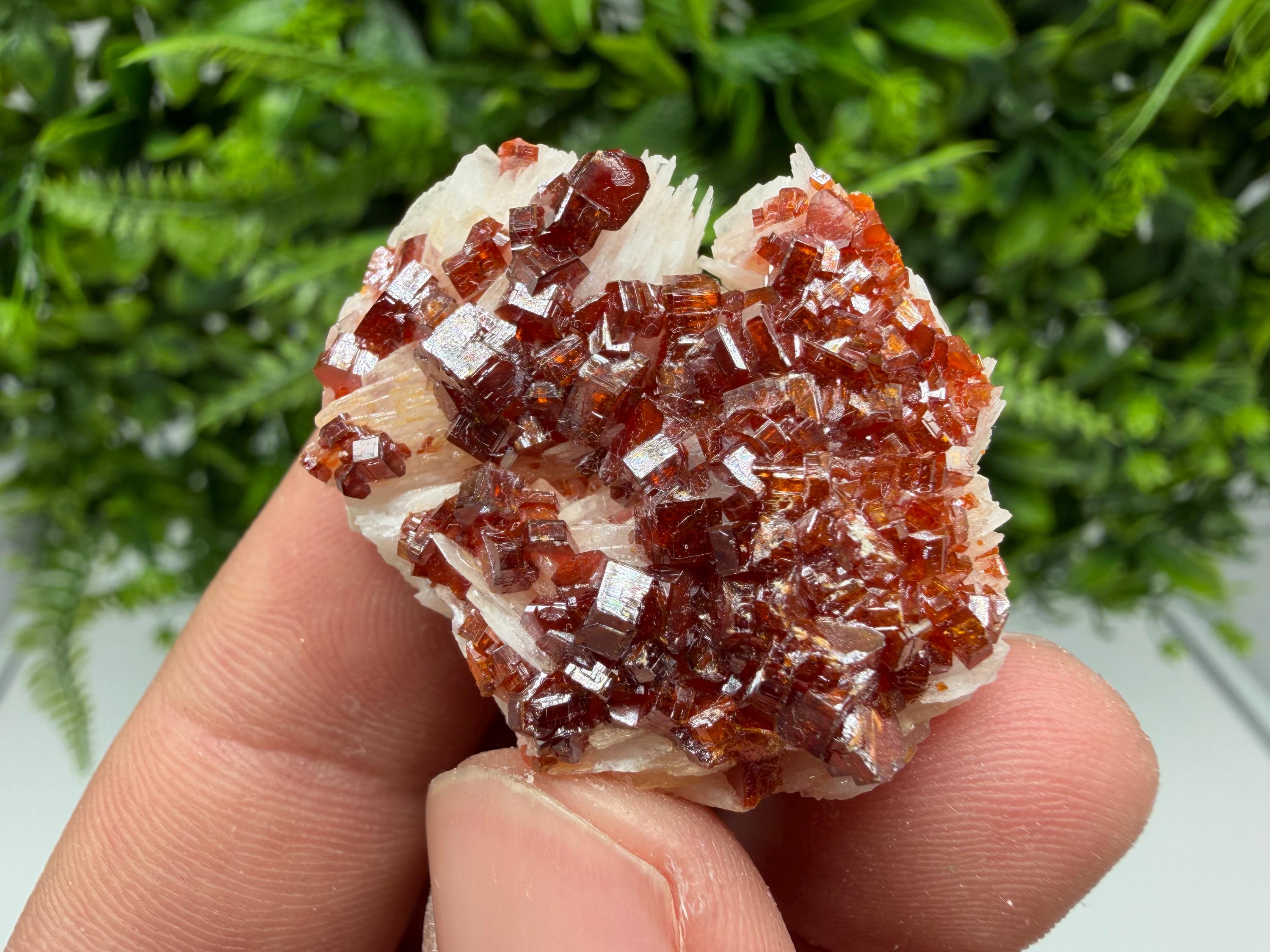 Red Vanadinite Crystal Cluster on Barite Matrix, Moroccan Mineral Specimen