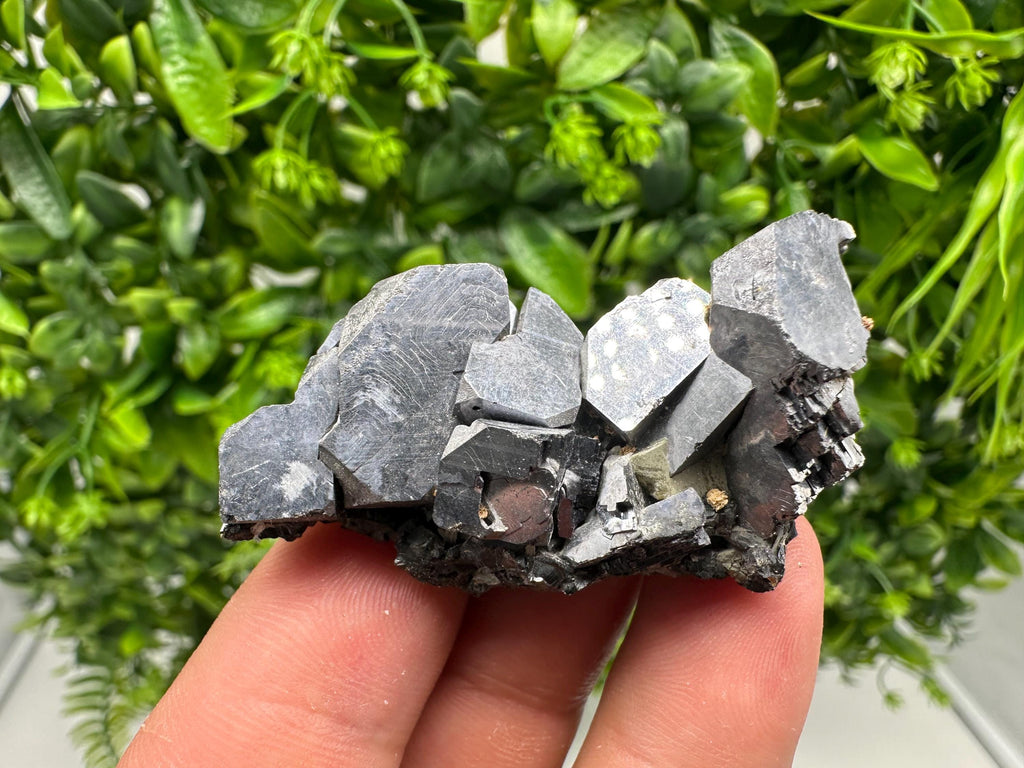 Skeletal Shiny Galena Mineral Crystal: Borieva Bulgaria Home Decor