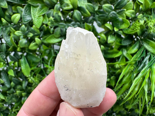 Calcite on Aragonite: Djurcovo Mine, Bulgaria Healing Crystal