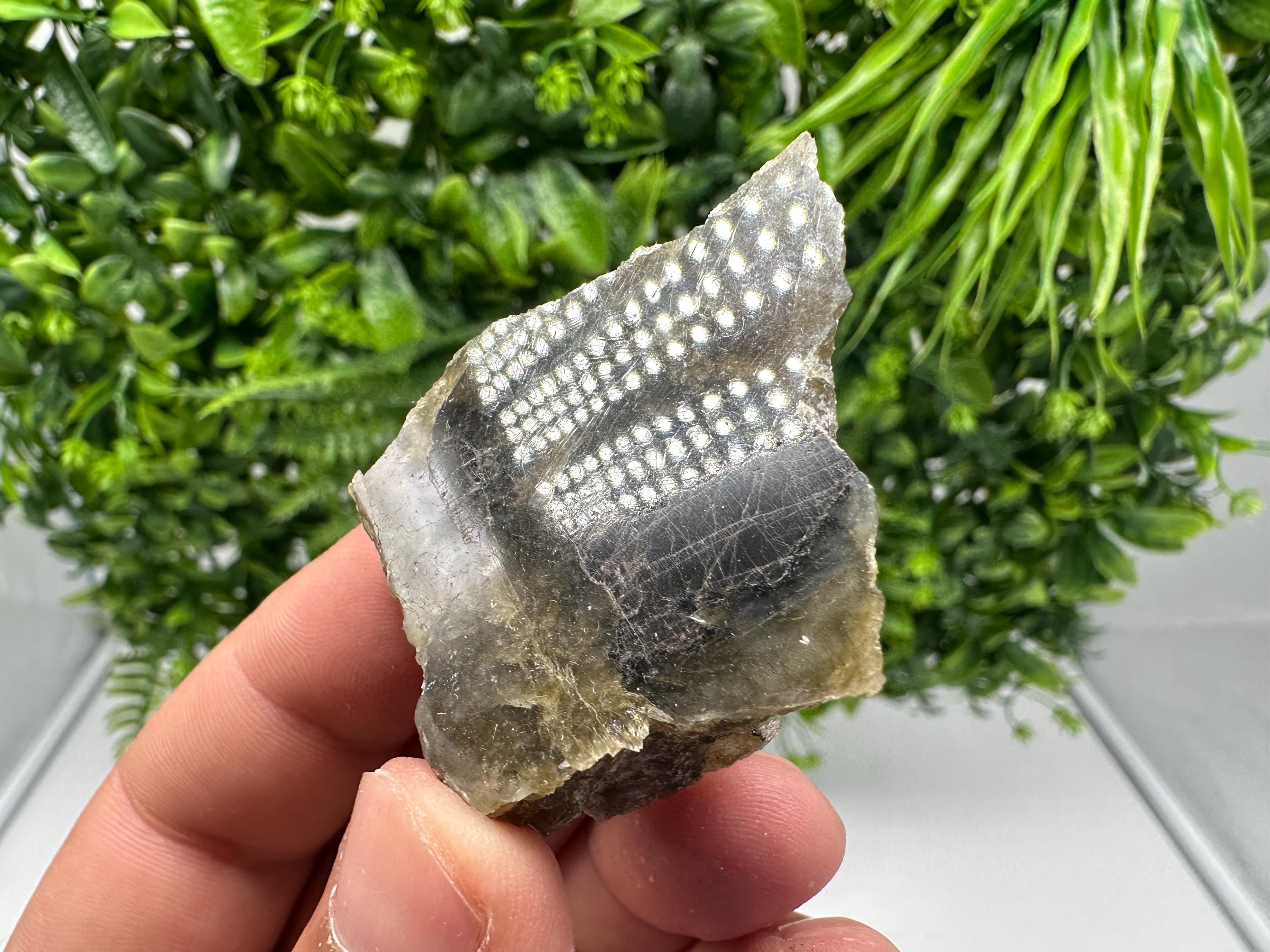 Polished Multifire Labradorite Slab: Crystal Decor, Crystal Grid (4/5/1.5 CM, 38 Grams)