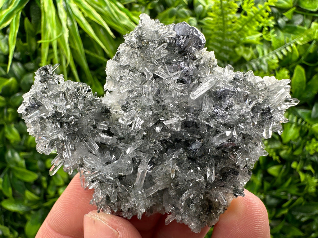 Galena Pyrite on Quartz, Borieva Mine, Bulgaria