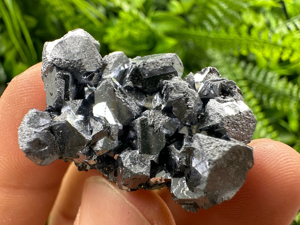 Shiny Galena Cluster: Borieva Mine, Madan, Bulgaria