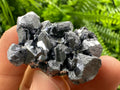 Shiny Galena Cluster: Borieva Mine, Madan, Bulgaria