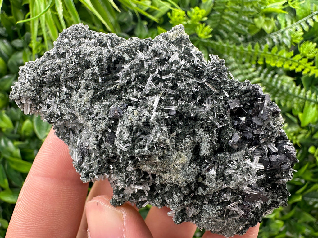 Sphalerite on Green Quartz with Chlorite Inclusion - Bulgaria Crystal Decor (8/6/4 cm)
