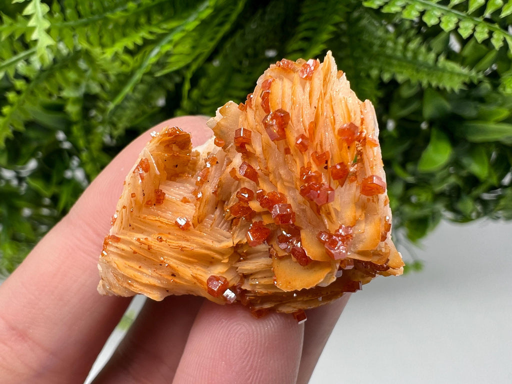 Red Vanadinite on Barite from Marocco,crystal minerals Speciment cluster Vanadinite crystal Vanadinite Geology Vanadinite cluster minerals