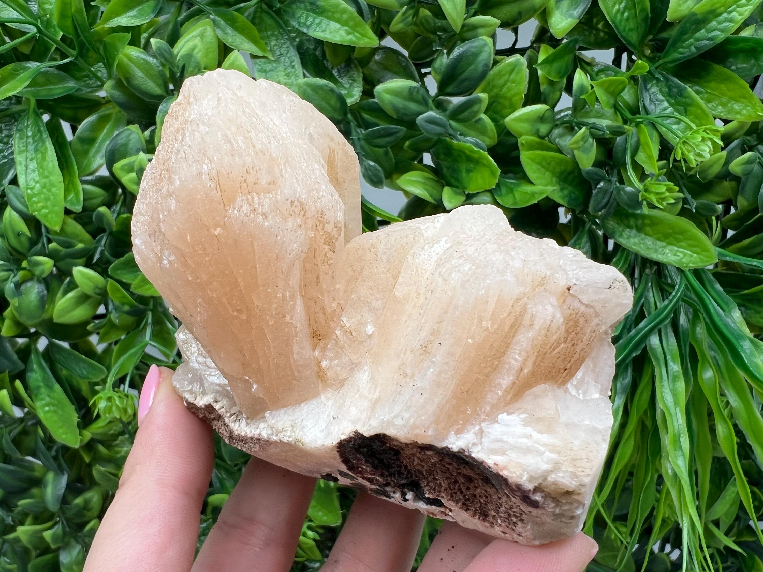 Apophyllite Stilbite Chalcedony Specimen: India Minerals Crystal, 360 grams