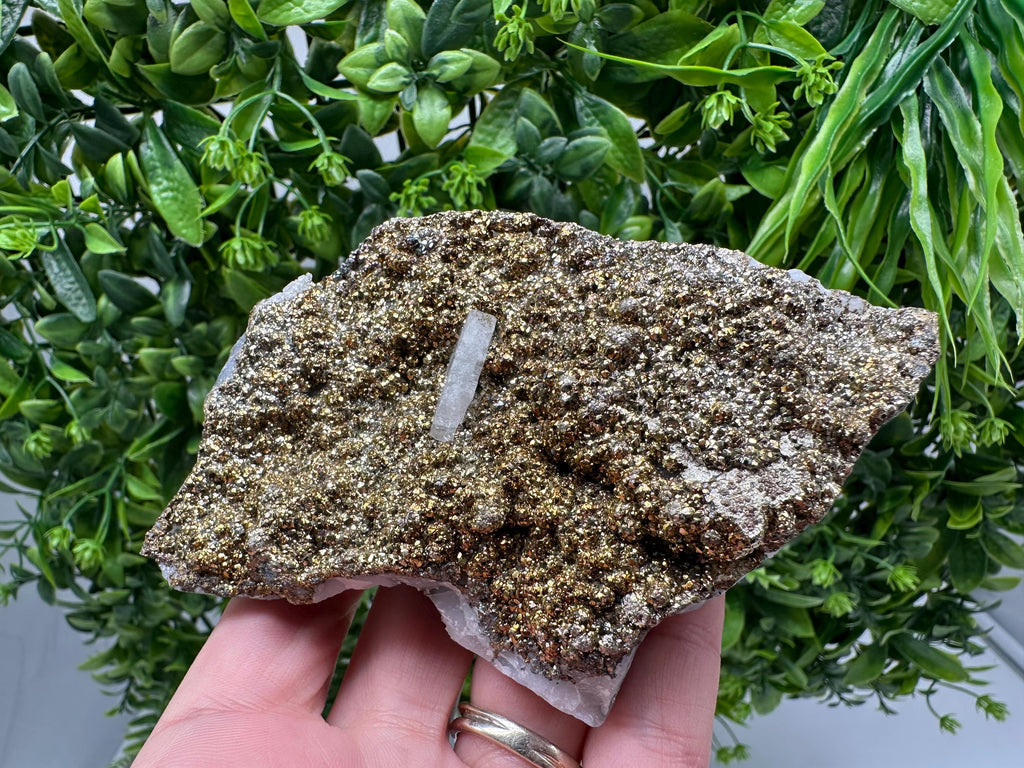 Marcasite Cluster on Chalcedony, Bulgaria Mineral Specimen