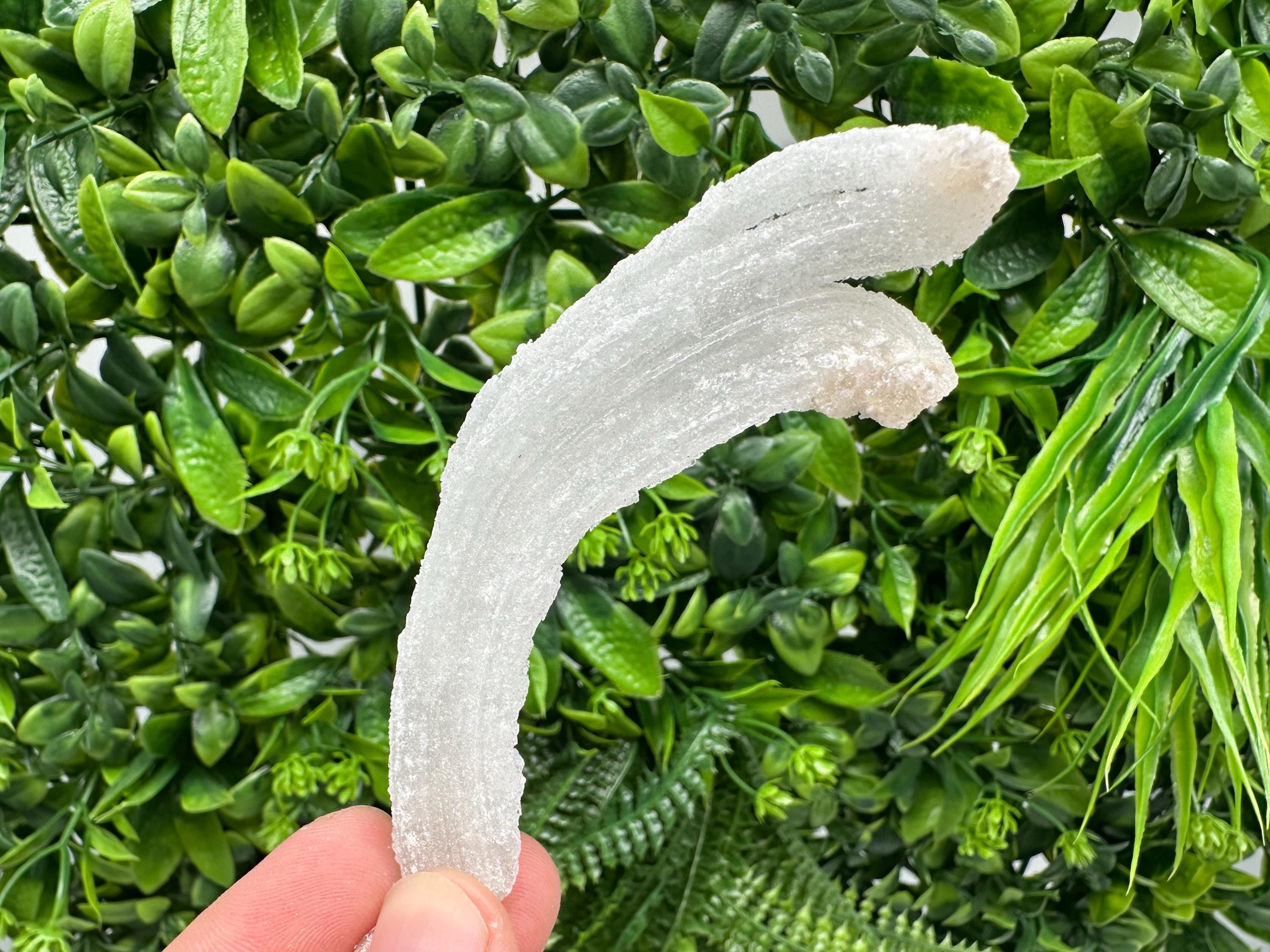 White Selenite Gypsum "Ram's Horn'' Selenite,from Guizhou,China,perfect Shape and Luster,Fluorescent Selenite Gypsum,minerals specimen,colle