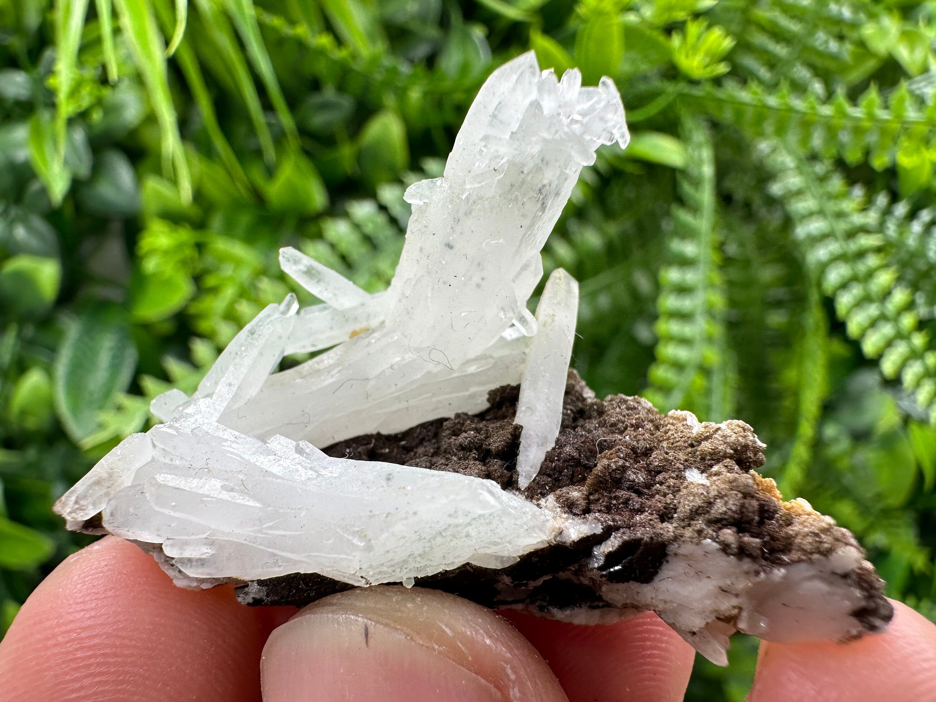 Quartz with Chlorite, Rhodochrosite and Siderite Crystal Mineral Specimen