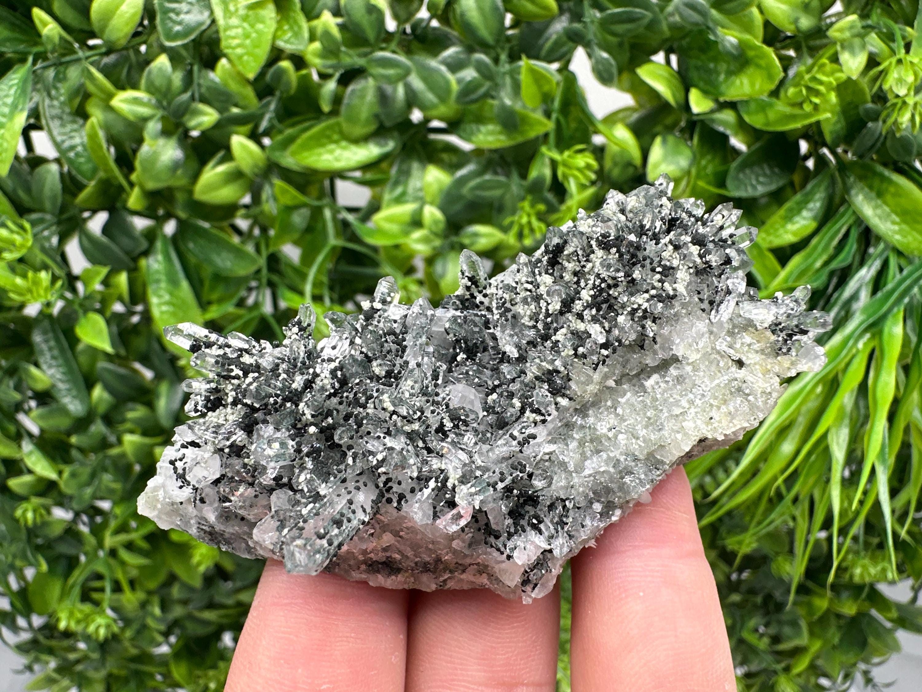 Chlorite Quartz Crystal Cluster - Borieva Mine, Bulgaria