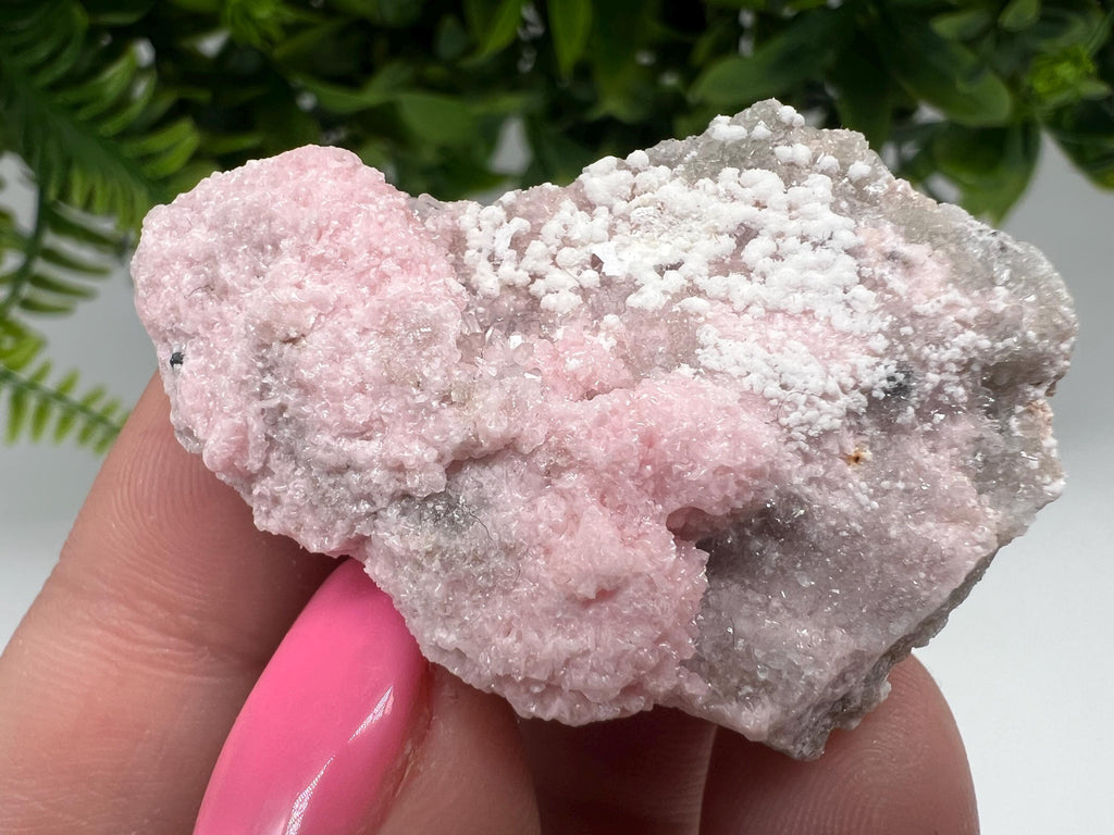 RARE Rhodochrosite with White Calcite, Starnica Mine, Bulgaria