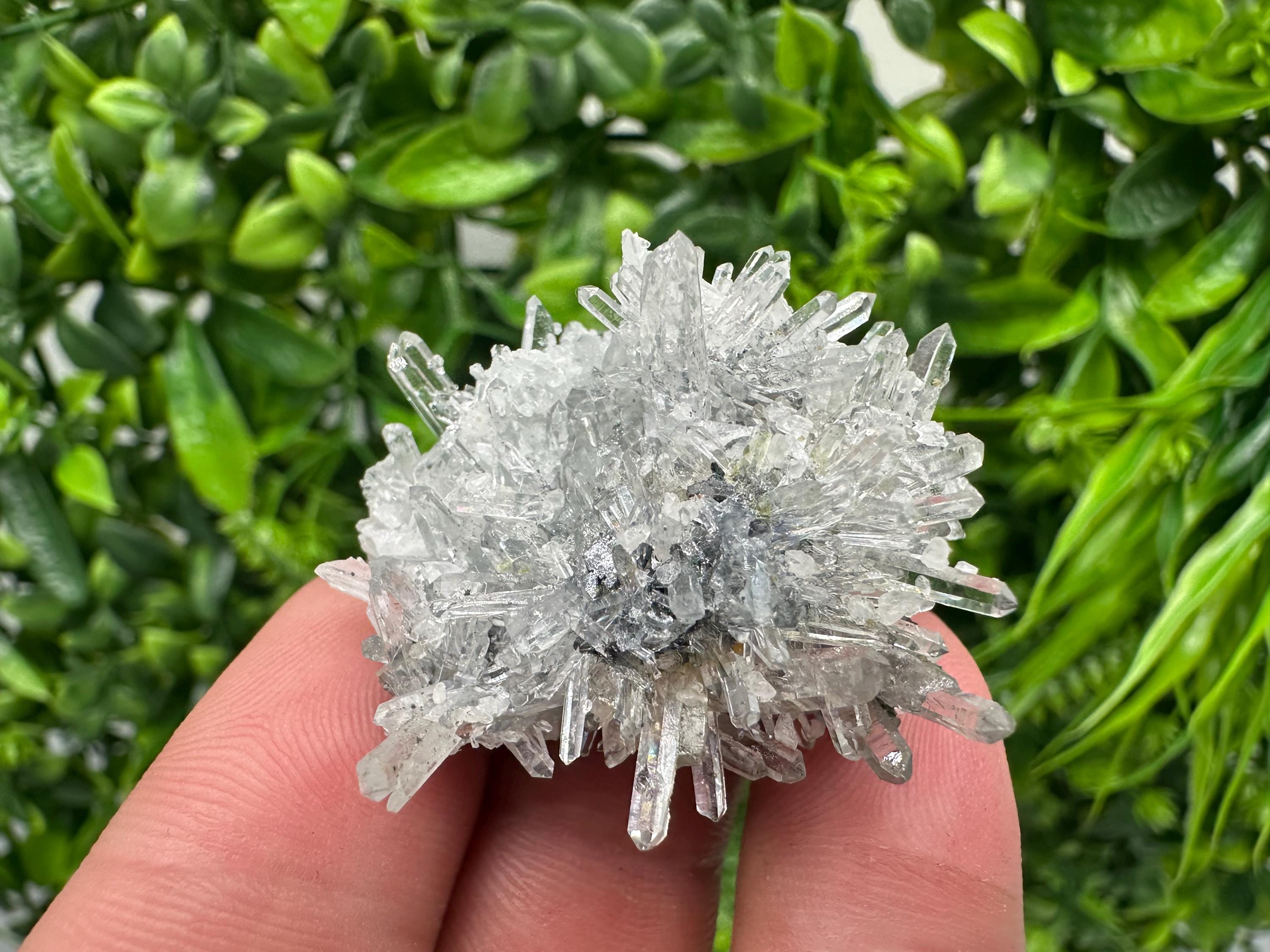 Chlorite Quartz Crystal Cluster - Borieva Mine, Bulgaria