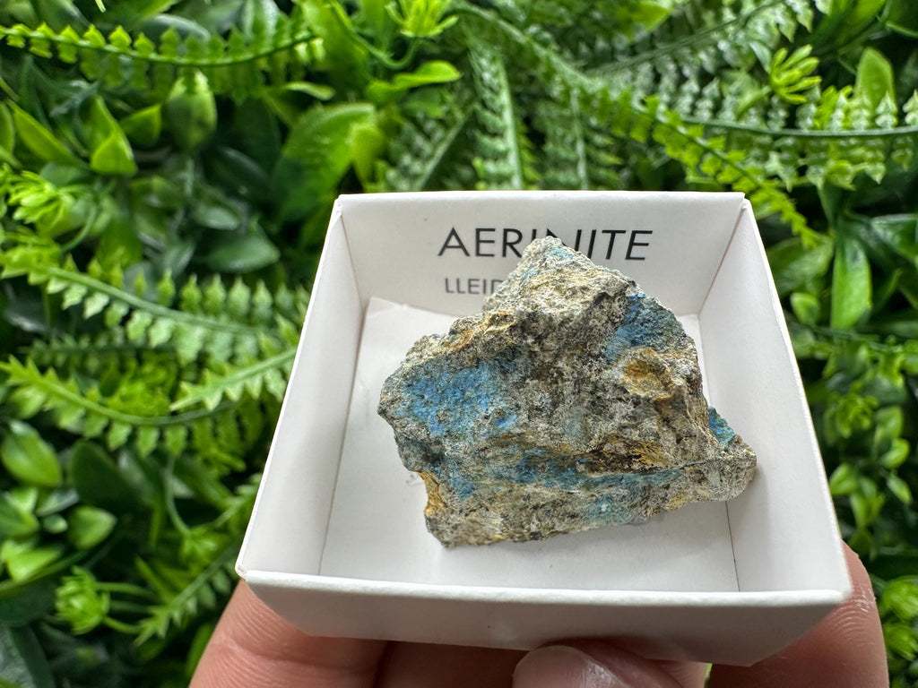 Rare Raw Aerinite Mineral Specimen, Lleida Spain