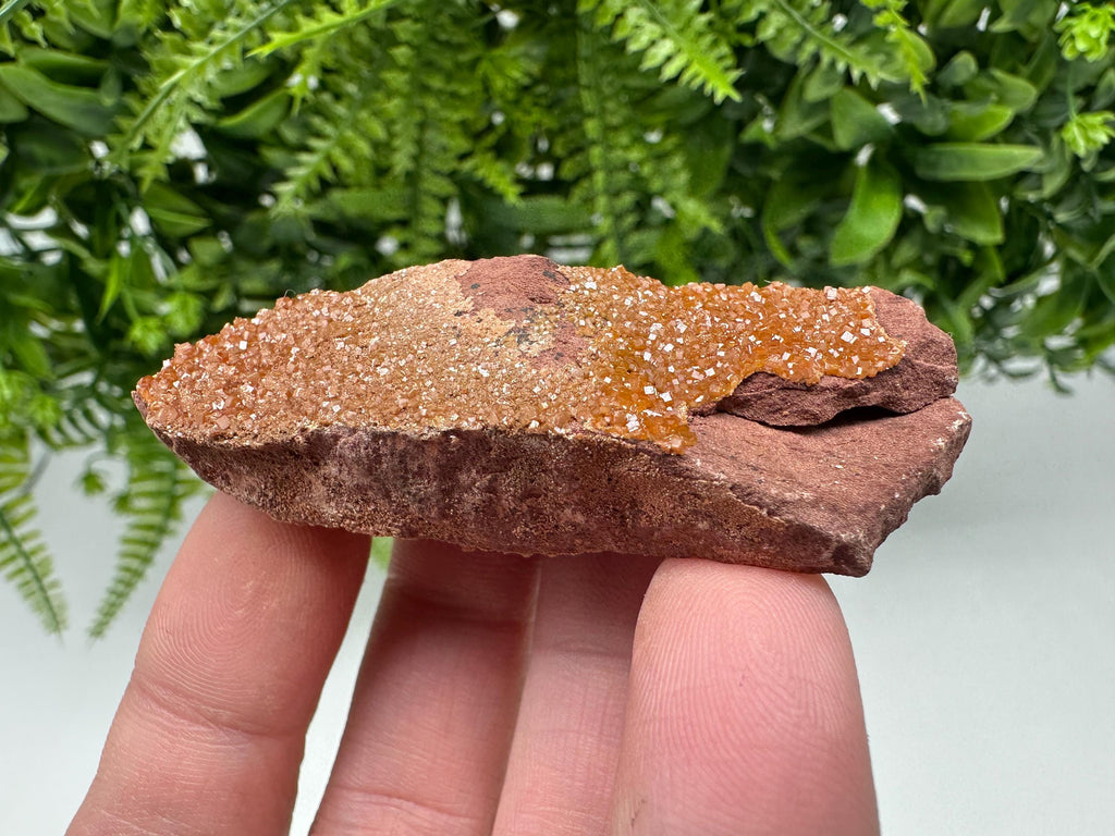 Red Vanadinite on Matrix from Marocco,crystal minerals Speciment cluster Vanadinite crystal Vanadinite Geology Vanadinite cluster minerals
