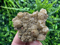Brown Rhodochrosite on Calcite, Djurcovo Bulgaria, Mineral Specimen