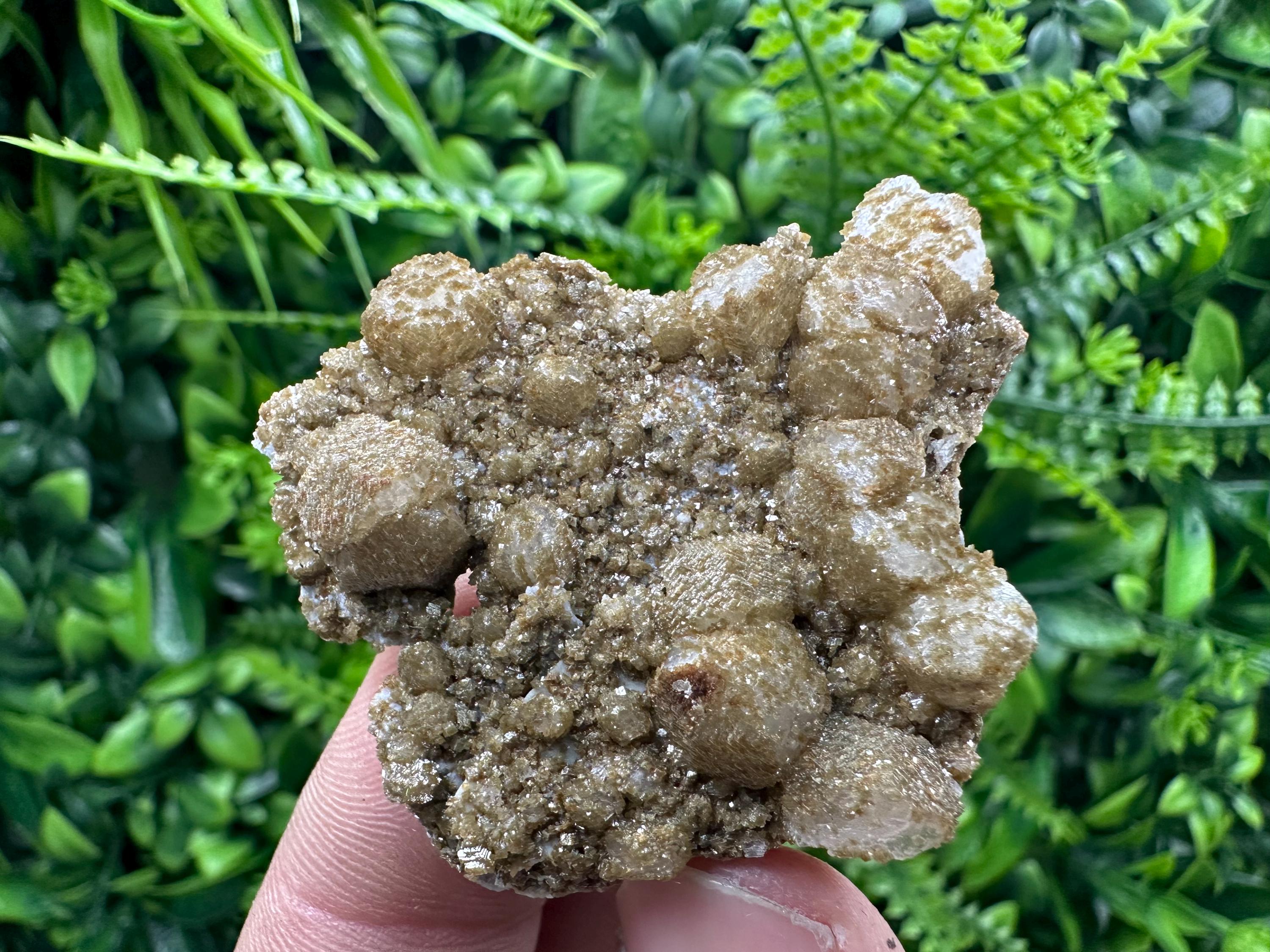 Brown Rhodochrosite on Calcite, Djurcovo Bulgaria, Mineral Specimen