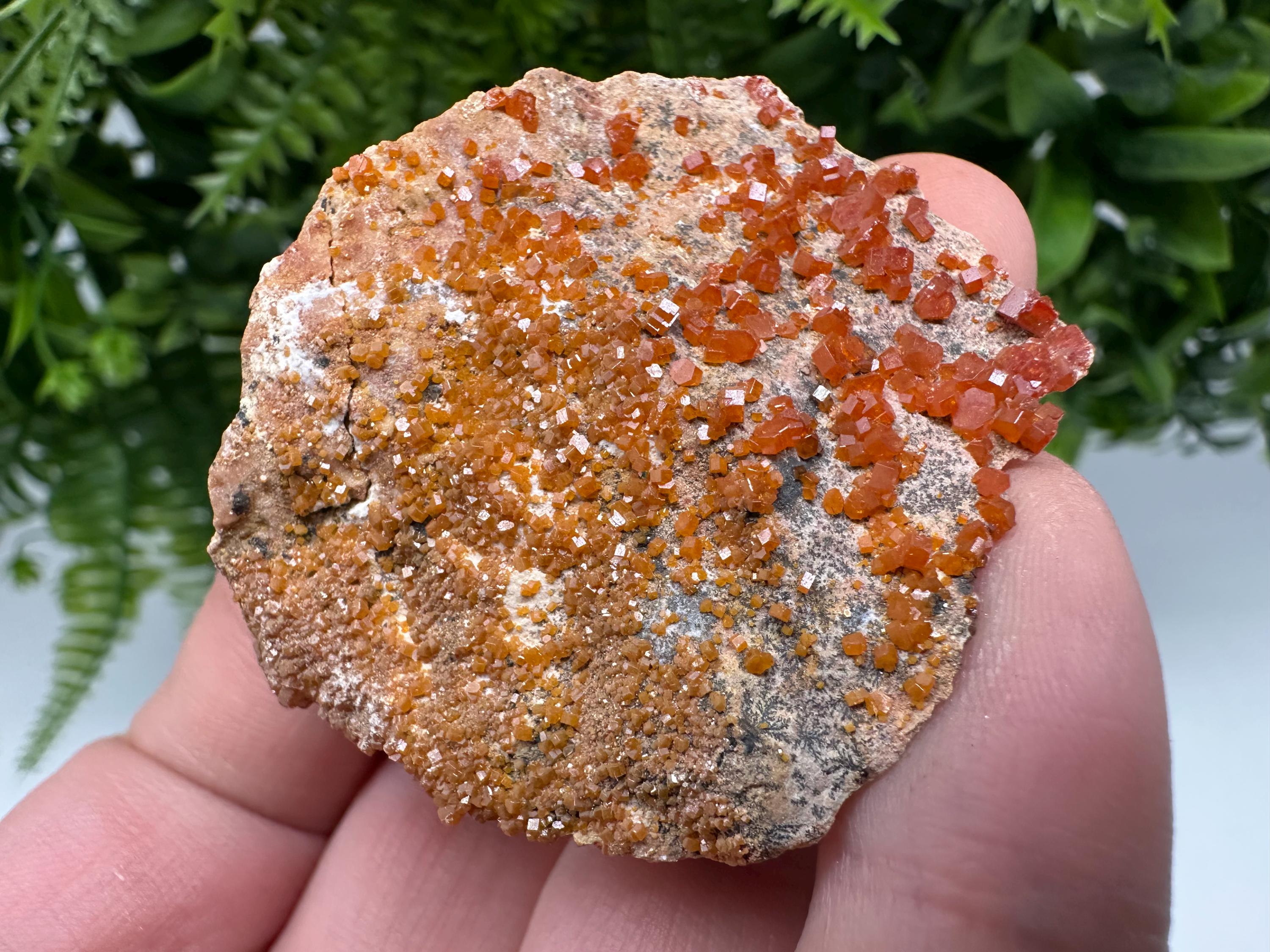 Red Vanadinite on Matrix from Marocco,crystal minerals Speciment cluster Vanadinite crystal Vanadinite Geology Vanadinite cluster minerals