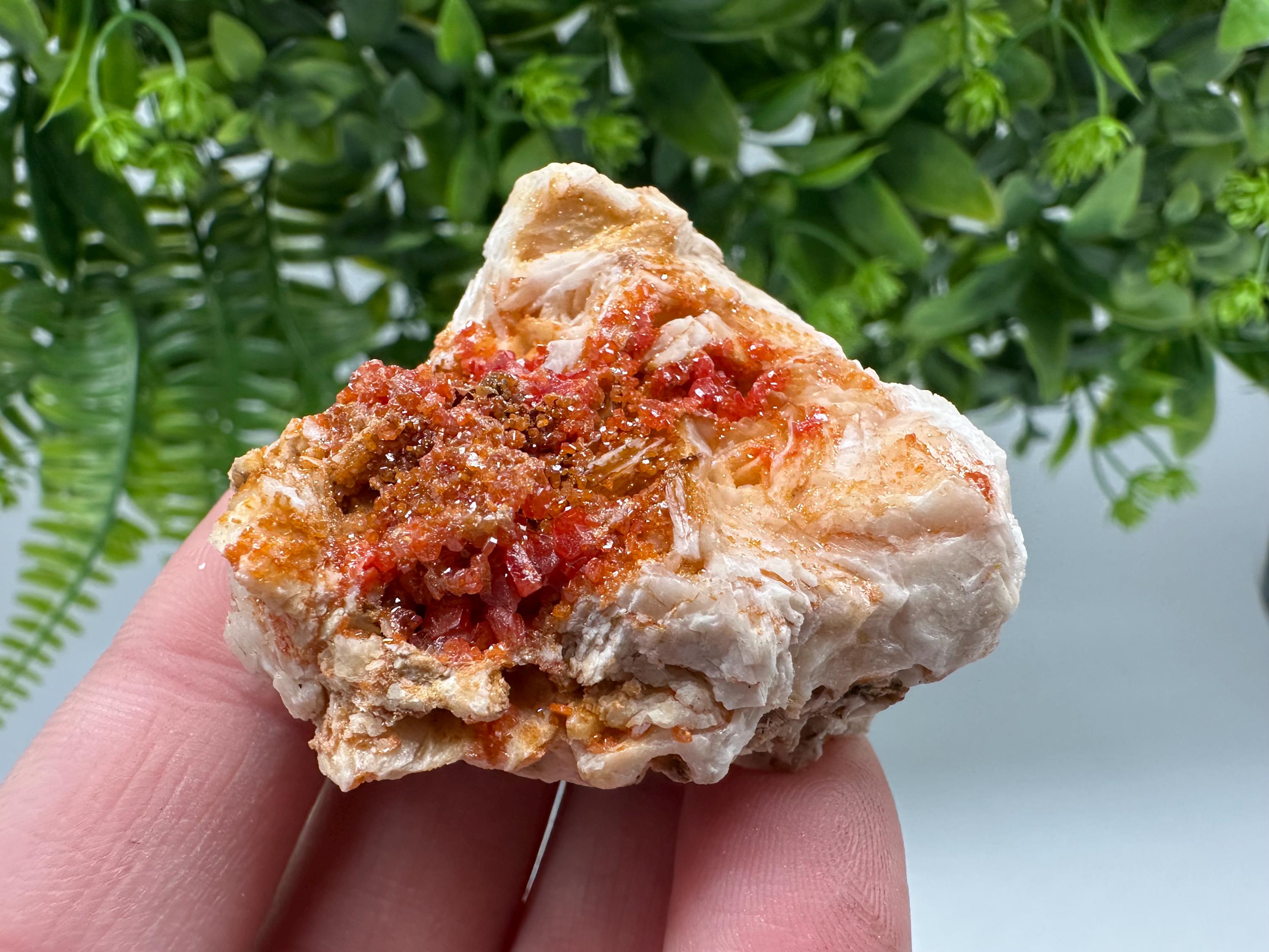 Red Vanadinite on Barite from Marocco,crystal minerals Speciment cluster Vanadinite crystal Vanadinite Geology Vanadinite cluster minerals