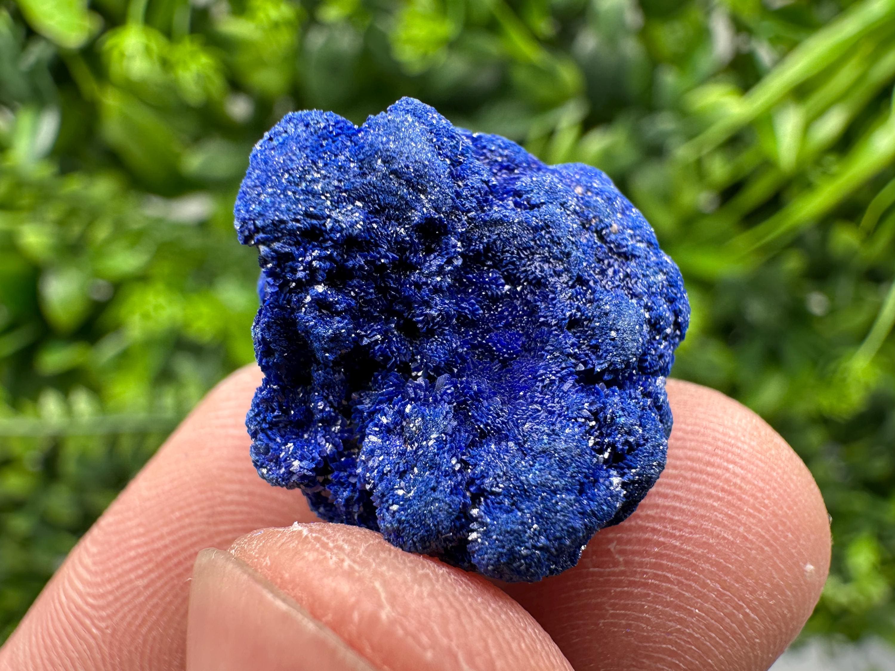 Crystallized Azurite-Kerrouchen,Morocco-Blue Azurite Specimen-High Quality Blue Azurite-Azurite Mineral Specimen, gemmy,lustrous of Azurite