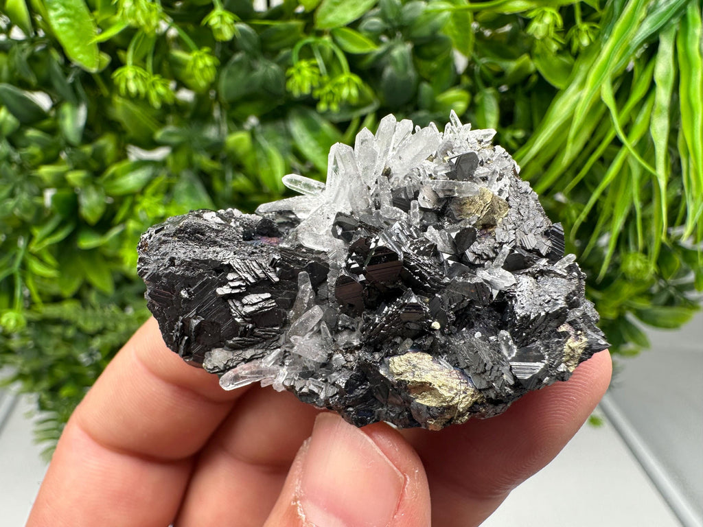 Wonderful Sphalerite Chalcopyrite on  Quartz whit Galena feom 9 th September mine,Bulgaria,natural,collection mineral specimen,gift