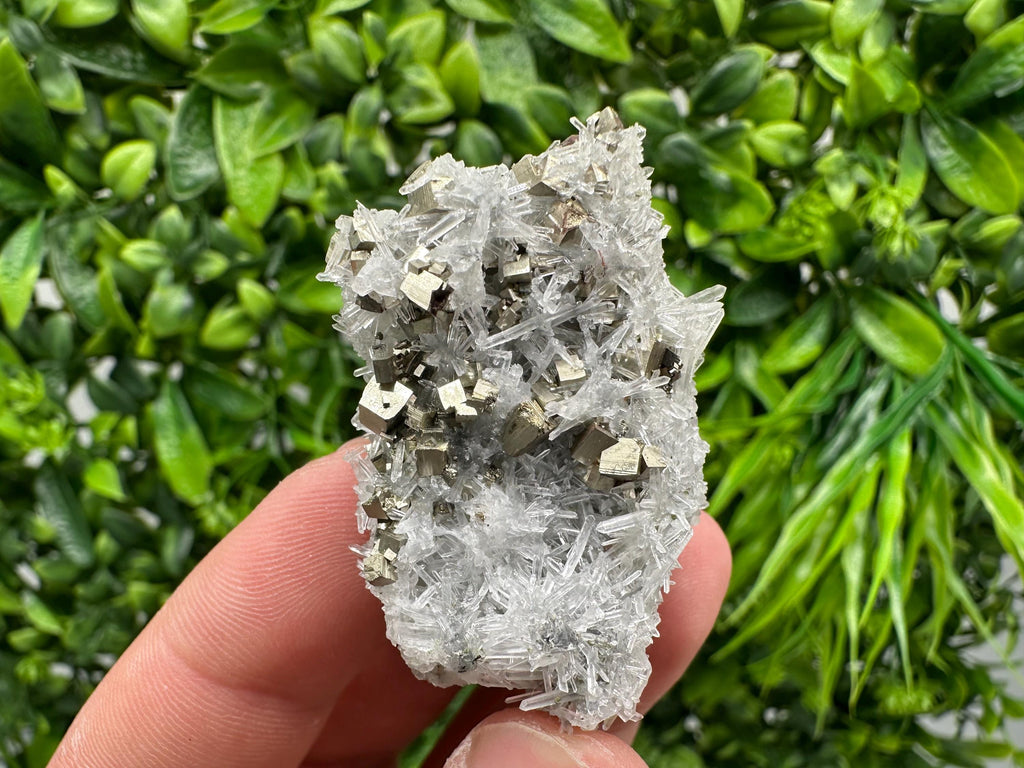 Pyrite on Green Quartz Mineral Specimen, Borieva Mine Bulgaria