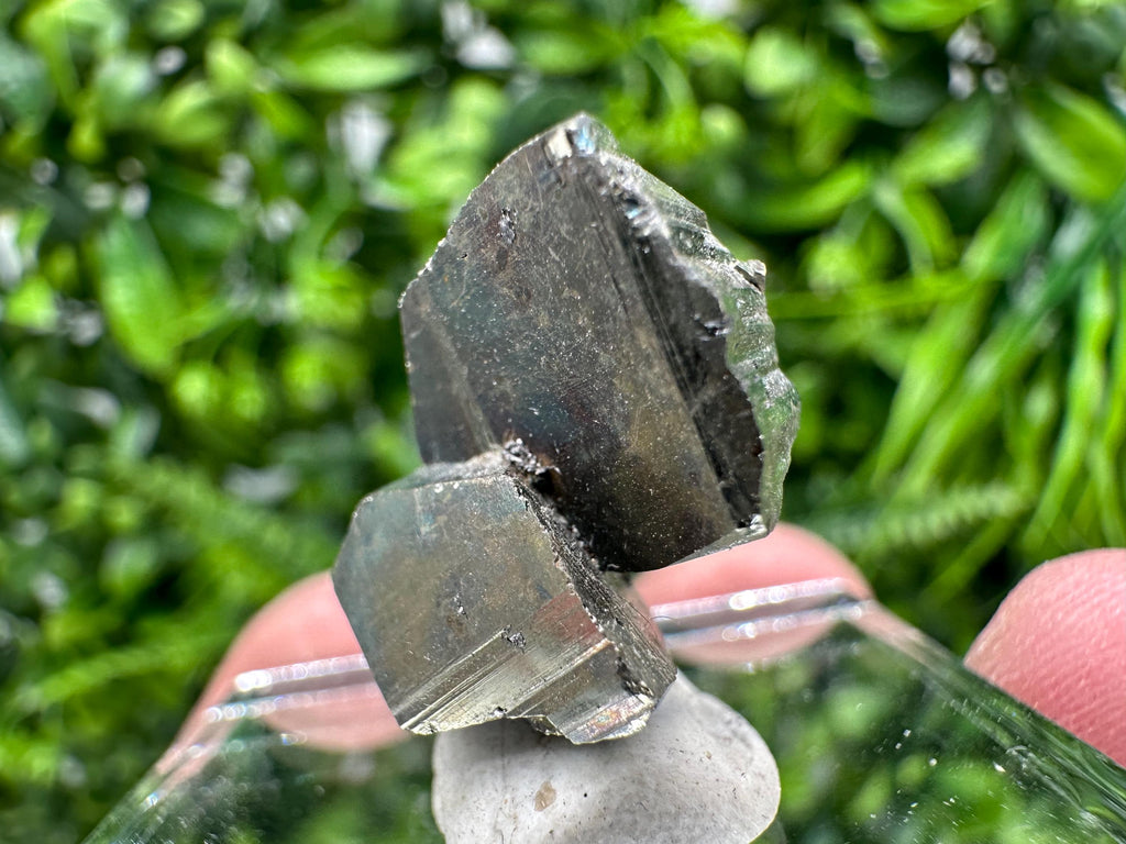 Mini Crystallization Pyrite Specimen, Borieva Mine, Bulgaria