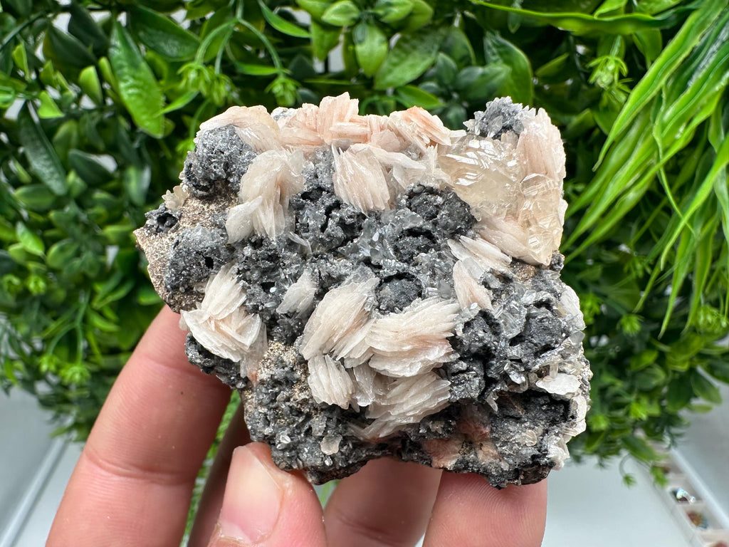 Wonderful Baryte with Cerussite on Galena from Morocco,Crystal, Mineral,Specimen,Cluster,Crystals,Barite Crystal,Cerussite Crystal,Specimen