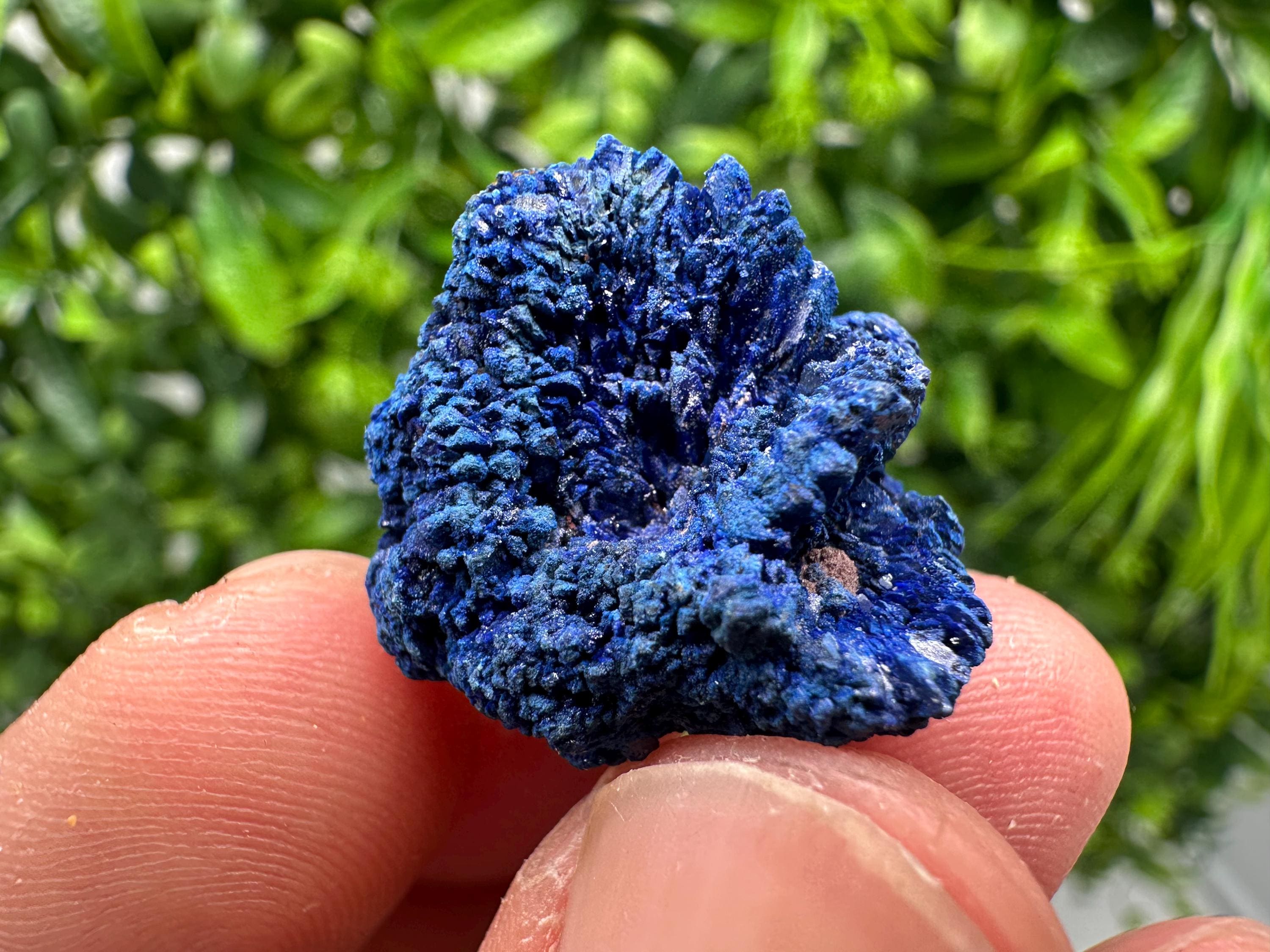 Crystallized Azurite-Kerrouchen,Morocco-Blue Azurite Specimen-High Quality Blue Azurite-Azurite Mineral Specimen, gemmy,lustrous of Azurite