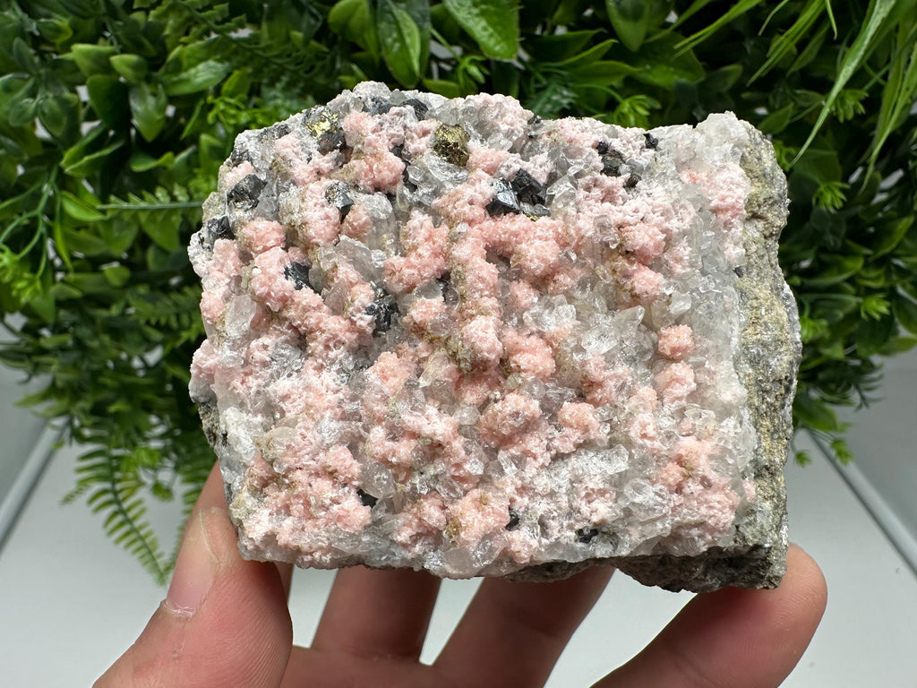 Pink Rhodochrosite Crystal, Starnica Mine, Bulgaria, Mineral Decor