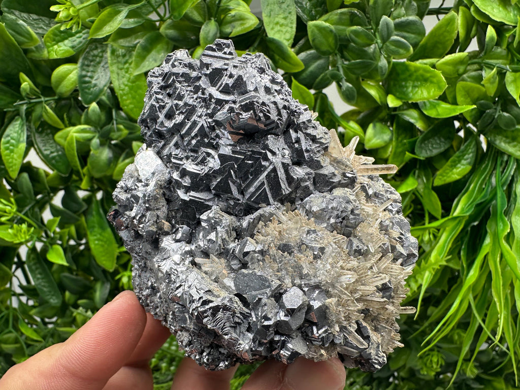 Galena Cluster with Quartz, Krushev Dol Mine, Bulgaria