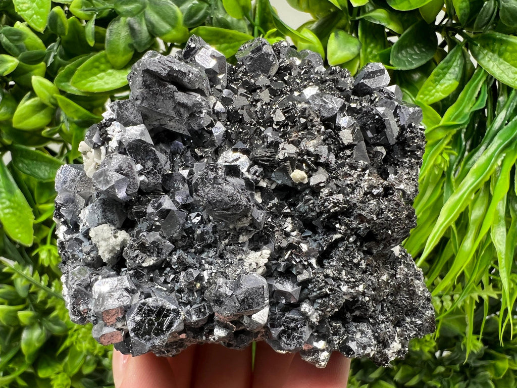 Galena Spinel Law on Sphalerite, Madan Bulgaria Mineral Specimen