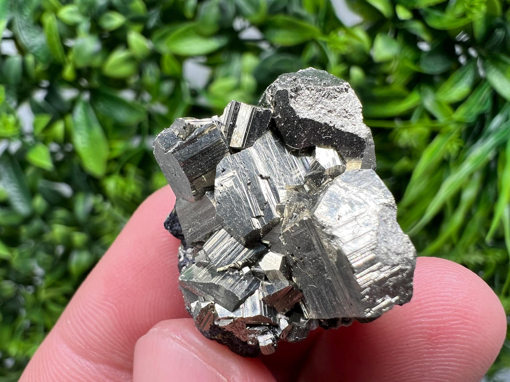 Golden Pyrite Cluster with Sphalerite, Madan Bulgaria Mineral Specimen