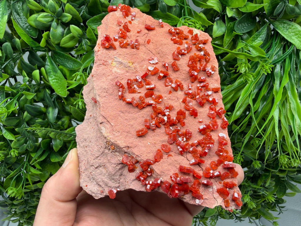 Red Vanadinite on Matrix from Marocco,crystal minerals Speciment cluster Vanadinite crystal Vanadinite Geology Vanadinite cluster minerals