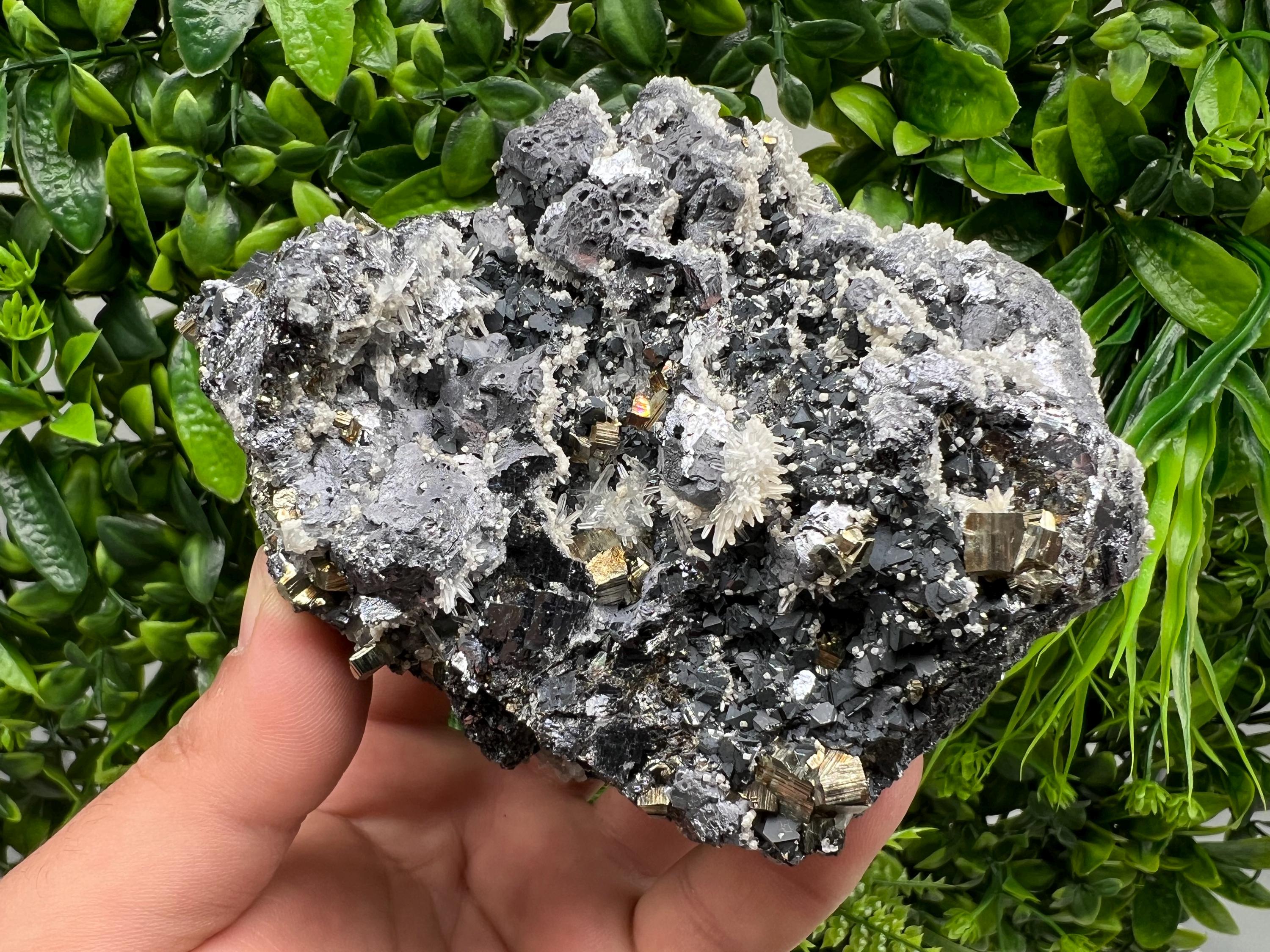 Galena Sphalerite Quartz Pyrite Mineral Specimen: Madan Bulgaria Rare Crystal