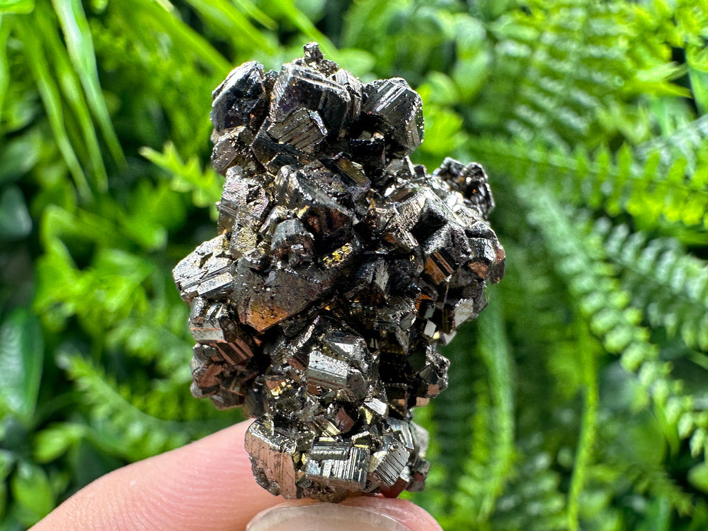 Pyrite Bornite Mineral Specimen: Borieva Mine, Bulgaria